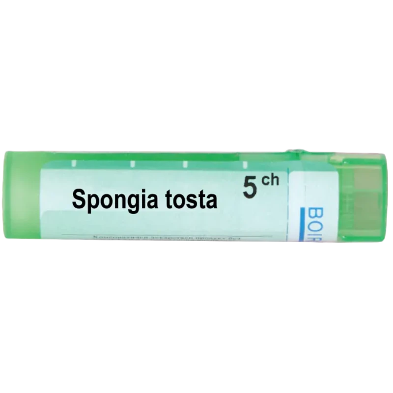 Spongia tosta 5 ch