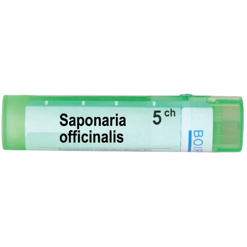 Saponaria officinalis 5 ch