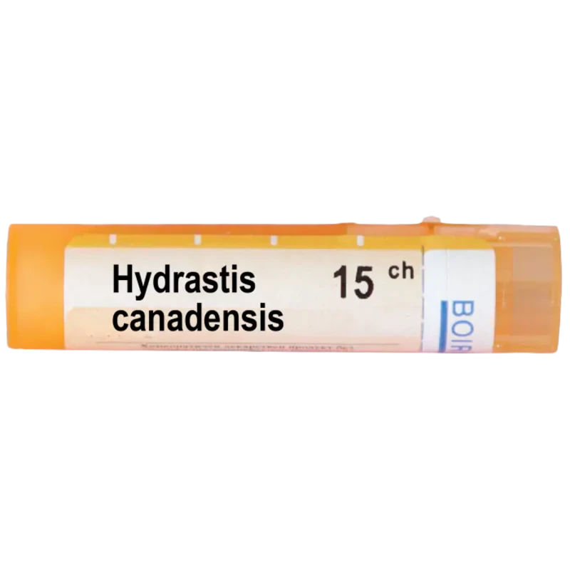 Hydrastis canadensis 15 ch